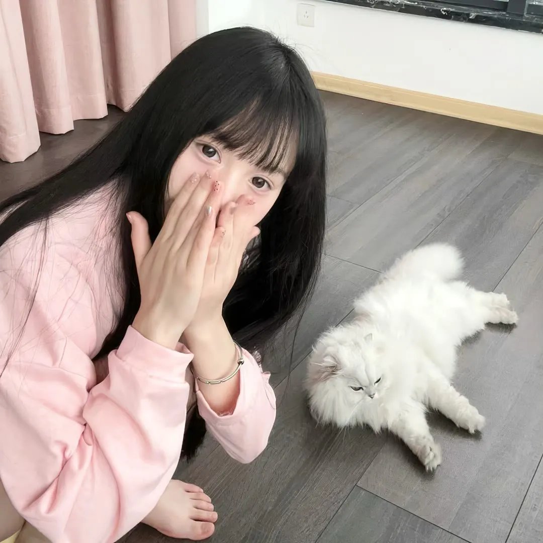 路易十四的死亡纪事