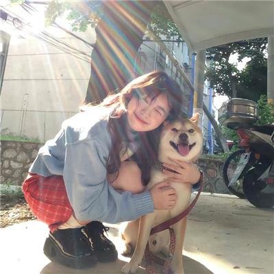 曼哈顿的槲寄生